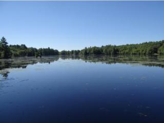 77 New Hampshire Dr, Concord, NH 03303-7920