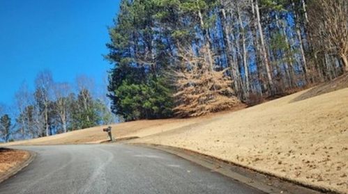 205 Wild Turkey Rdg, Ball Ground, GA 30107-4279