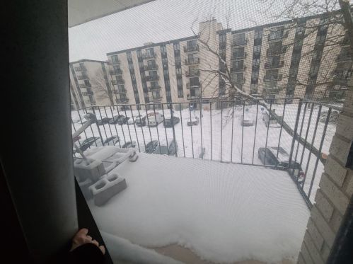 9118 Elmwood Dr, Niles IL 60714-5826 exterior