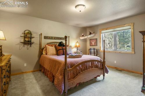 133 Elk Grove Ln, Woodland Park CO 80863-9171 exterior