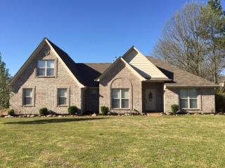9356 Cedar Brook Cv, Cordova, TN 38016-6709