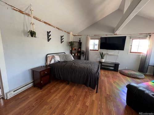 623 Chestnut St, Leadville CO  80461-3905 exterior