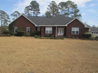 114 Rugglestone Dr, Jesup, GA 31546-4732