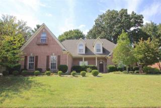 3847 Peachtree Cv, Memphis, TN 38135-9213