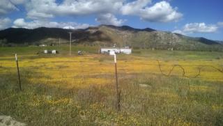19963 Walker Basin Rd, Caliente, CA 93518-4124