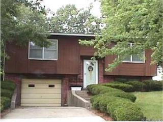 400 Sycamore St, Grantfork IL  62249-1704 exterior