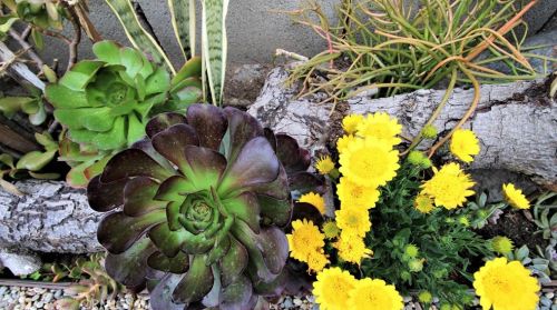 1020 Hickory St, Santa Ana CA  92701-6004 exterior