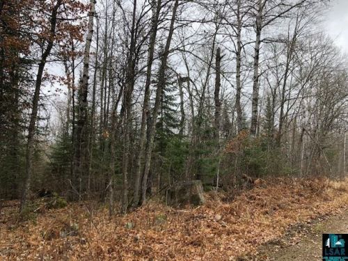 10195 King Rd, Orr, MN 55771-8011