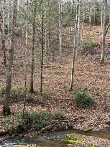 154 Hilburn Rd, Dahlonega, GA 30533-4235
