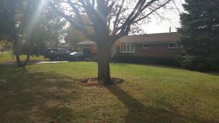 4911 Bosart Rd, Springfield OH  45503-6532 exterior
