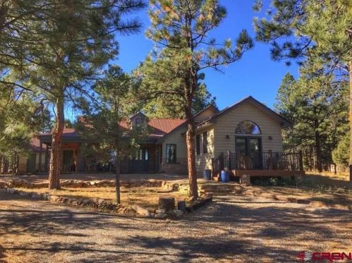 145 Badger Trl, Ridgway, CO 81432-9493