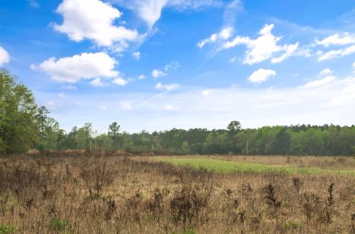 4488 Pond Town Rd, Brunson SC  29911-3801 exterior