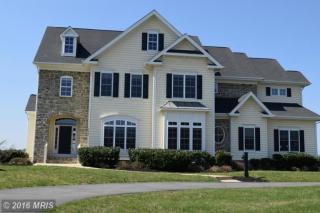 20589 Wild Meadow Ct, Ashburn, VA 20147-7448