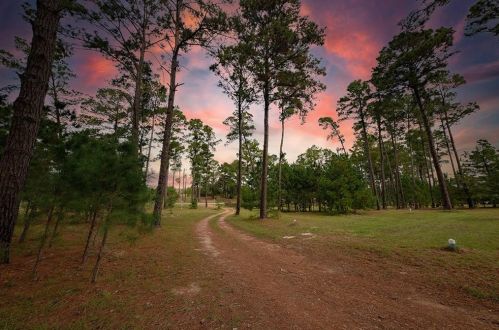 633 Cardinal Dr, Hills, TX 78659-9751