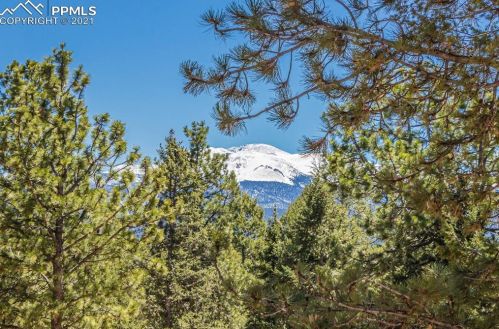 46 Barr Lake Cir, Divide, CO 80814-9786