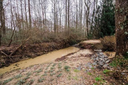 230 Ivy Creek Dr, Loganville, GA 30052-3119
