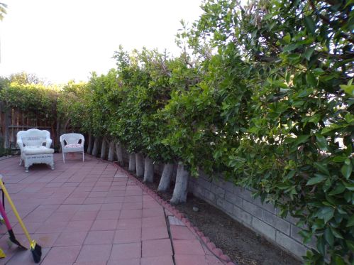 1468 Sunflower Cir, Palm Springs, CA 92262-1789
