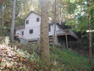 14 Grouse Rd, Clyde, NC 28721-6750