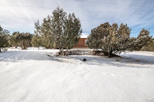 3271 Siloam Rd, Beulah, CO 81023-8732