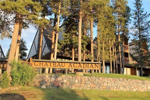 37 Tally Ho Ct, Montezuma CO  80435-8374 exterior