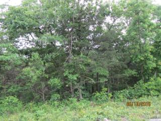 585 Shore Rd, Powersite, MO 65731