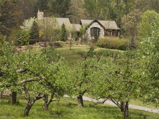 40 Sugar Hollow Orchard Dr, Fairview, NC 28730-9131