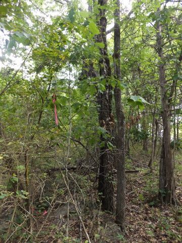 4 Garden St, Calico Rock, AR 72519-8706