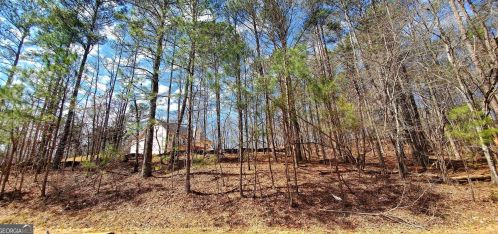 617 Ridley Rd, Palmetto, GA 30268-1516