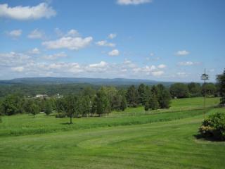 12 Yetter Rd, Fredon, NJ 07860-6201