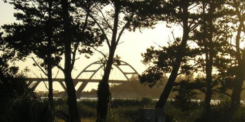 885 Bay St, Waldport, OR 97394-9013