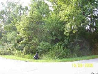 602 Deer Run Ave, Georgetown, SC