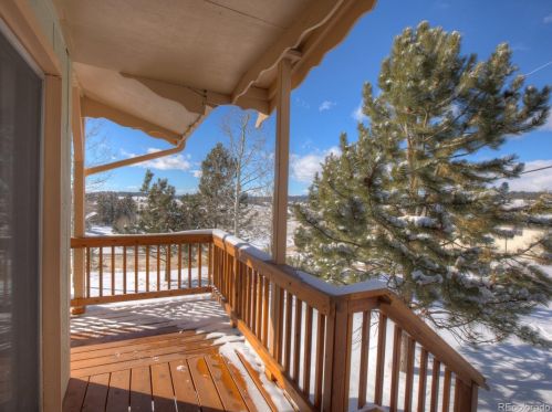 276 Aspen Cir, Divide, CO 80814-8610