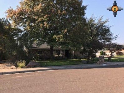1229 El Caminito Dr, Hobbs, NM 88240-0961