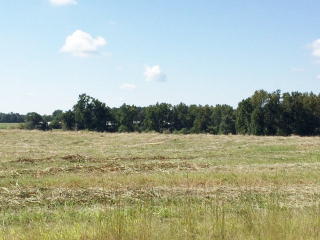 1161 Hardigree Bell Rd, Bishop, GA 30621-1451