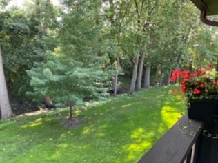 8215 Willow Dr, Palos Hills, IL 60465-2563