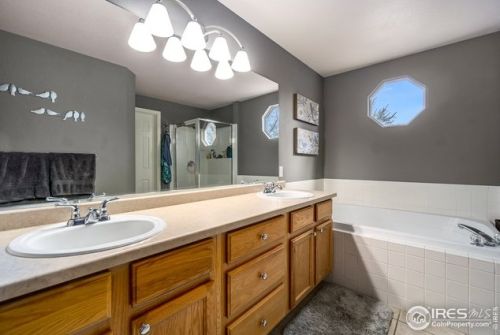 513 Idalia Ct, Fort Collins CO  80525-7011 exterior