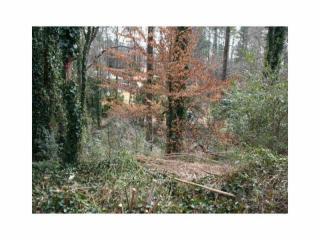 1169 Biltmore Dr, Atlanta, GA 30329-3809