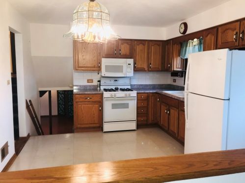 1420 Holtz Ave, Addison, IL 60101-1928