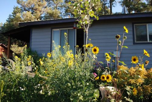 574 Meadowbrook Dr, Vallecito, CO 81122-9853