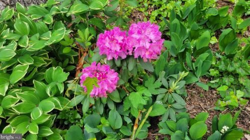 94 Eldrid Dr, Silver Spring MD 20904-2910 exterior