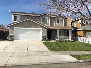 390 Glenbriar Cir, Tracy, CA 95377-7053