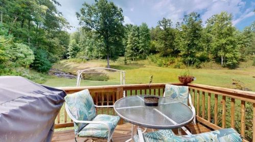 376 Nugget Ln, Ellijay, GA 30540-0052