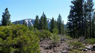 8621 Lloyd Tevis Dr, Truckee, CA 96161-5155