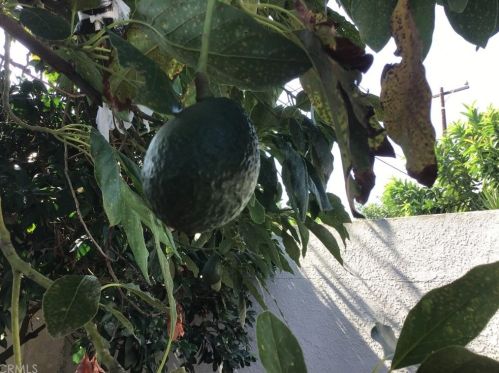 1302 Arlington Ave, Anaheim CA  92801-2003 exterior