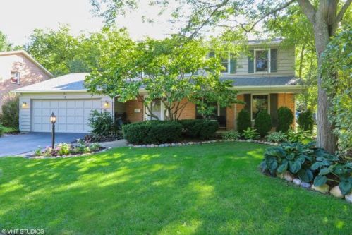 711 Willow Wood Dr, Palatine, IL 60074-3879
