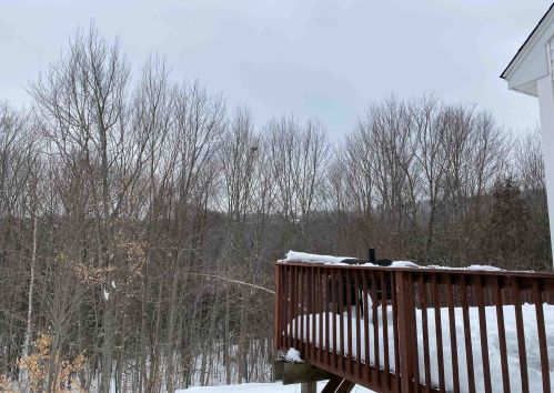 61 Thorndike Rd, Weare, NH 03281-4549