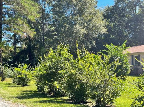 201 Gardeners Walk, Cross, SC 29436-3145