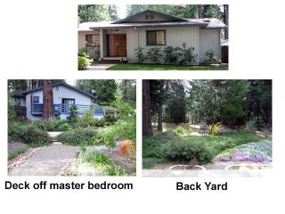 25025 Randy Ct, Michigan Bluff, CA 95631-9773