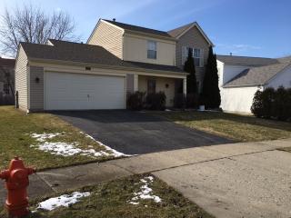 1985 Castle Pines Cir, Hoffman Estates IL  60123-6850 exterior
