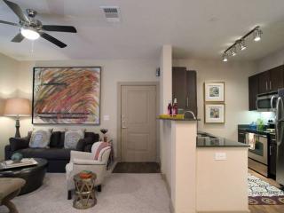 2056 Sundance Pkwy, New Braunfels TX  78130-2785 exterior